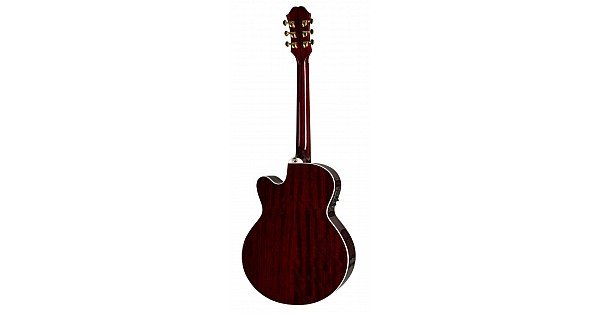 Epiphone PR-200NS Fishman マイク&チューナー付（Jual EPIPHONE